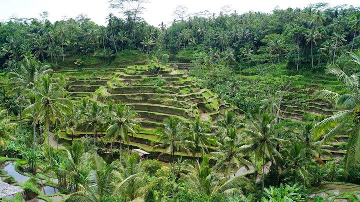 Антикризисный отдых на Бали 2015 (много фото)