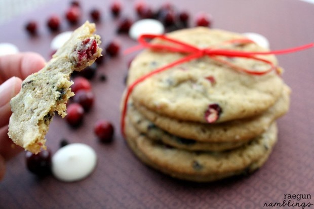 cranberrychocolatechipcookies_zps36720781