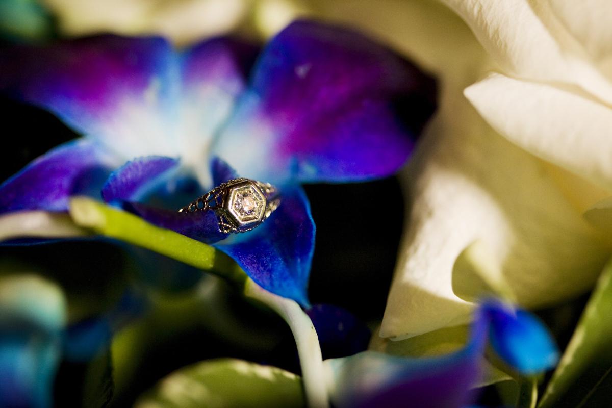 Beach Wedding-Sarasota