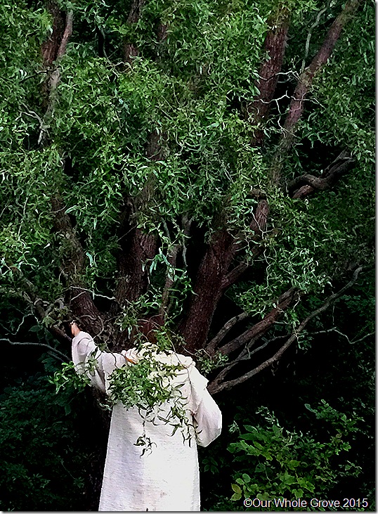 Ritual portal posture,Tree