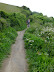 Coast Path to Lobber Point