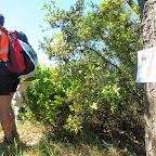 Roca Rovira(380m).