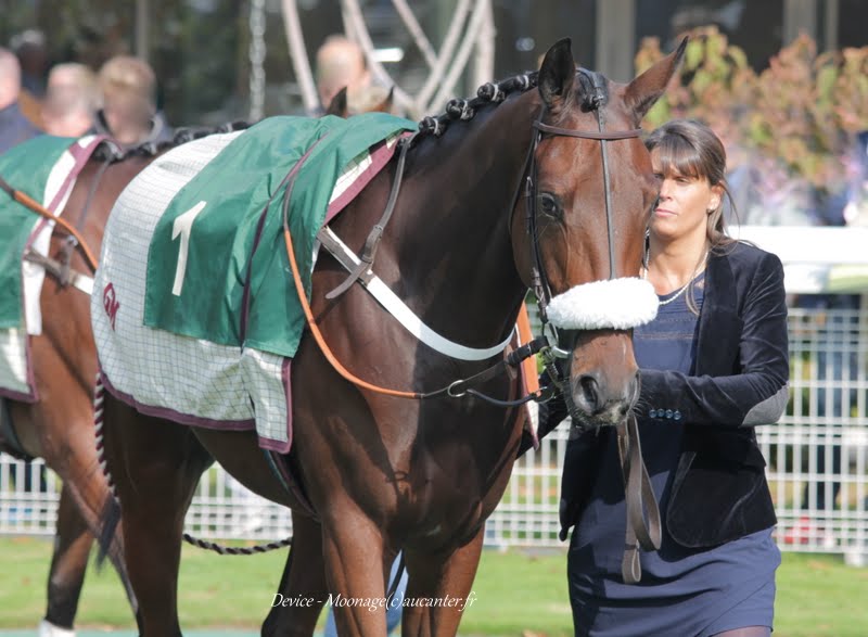 Photos Auteuil 11-10-2015 IMG_5157