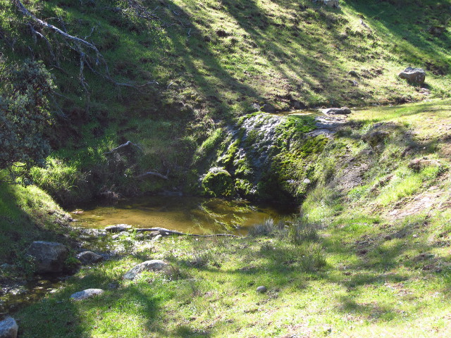 pool and flow and pool again along this little creek