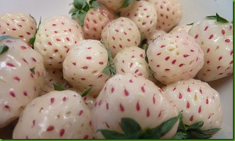 Pineberries