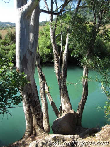 Río guadiaro desde El Colmenar hasta El Corchado