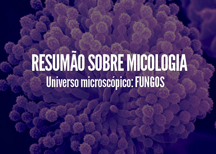 Micologia