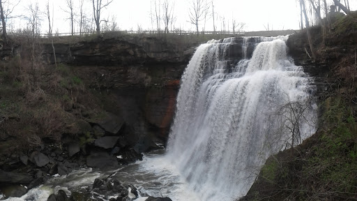 Tourist Attraction «Brandywine Gorge Trail», reviews and photos, 8176 Brandywine Rd, Sagamore Hills, OH 44067, USA