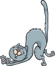 14295377-cartoon-illustration-of-stretching-happy-gray-cat