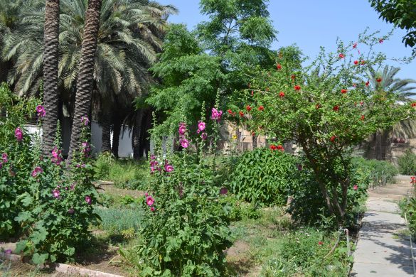 Ibn Al-haytham College - University Of Baghdad