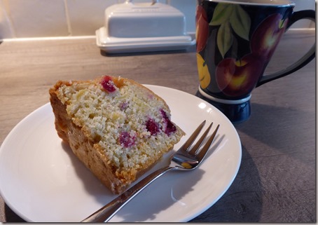 apple, orange and cranberry cake4