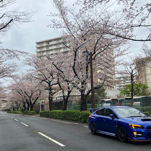 WRX STI VAB