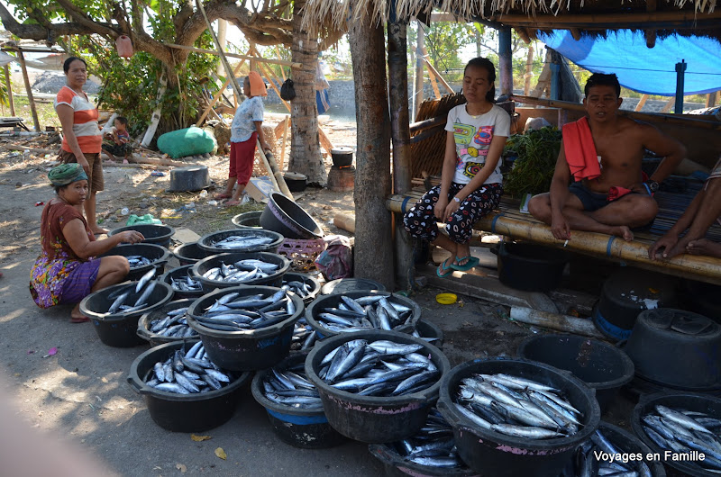 Fishes on sale - Bunutan