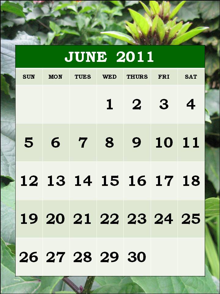 2011 calendar printable free. june 2011 calendar printable