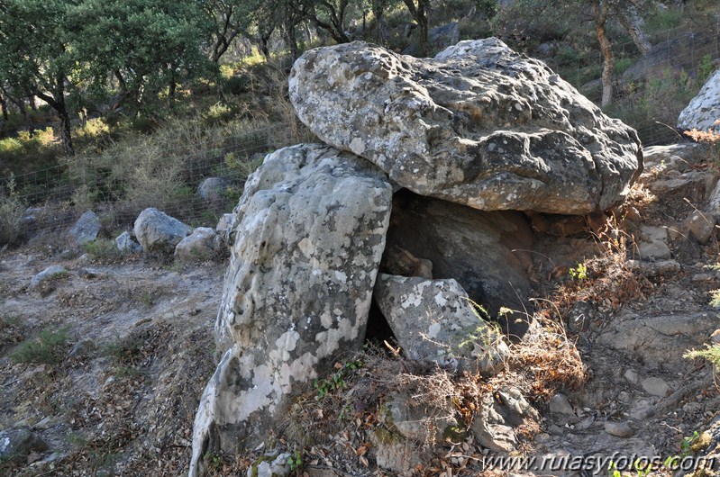 Dolmenes y menhir de Facinas