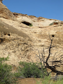 A cave that seemed unreachable from this spot. I'll have to return to find a way up!