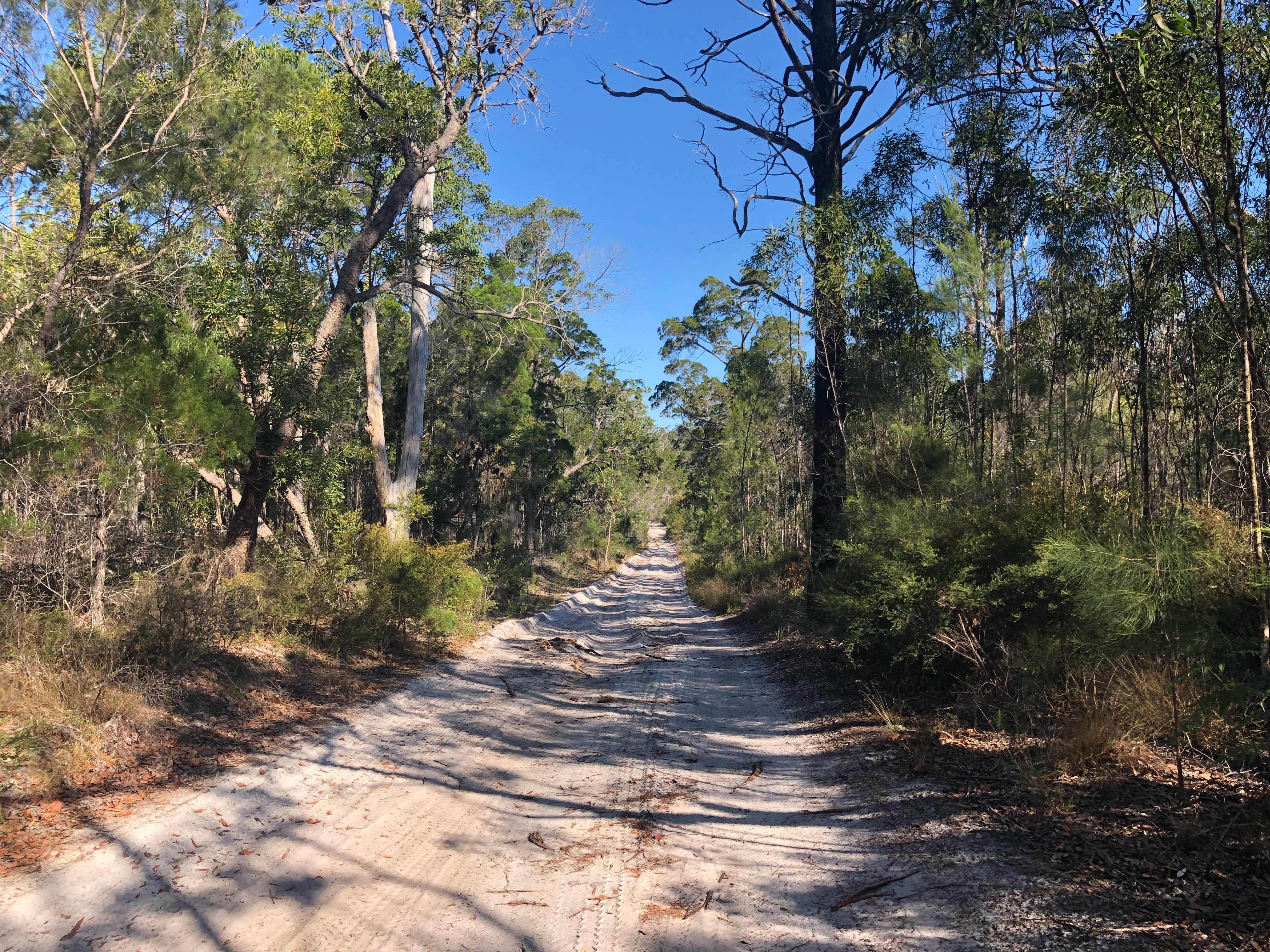 Difficile remontée : de la baie de moreton à fraser island