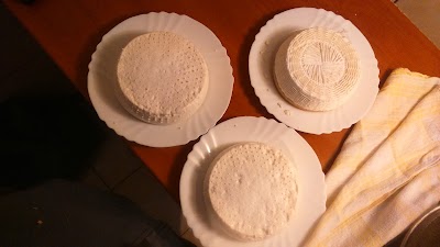 Photos of Opg-Kata