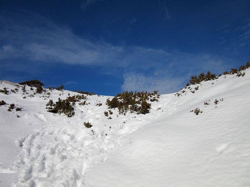 IMG_4746 IMG_4746