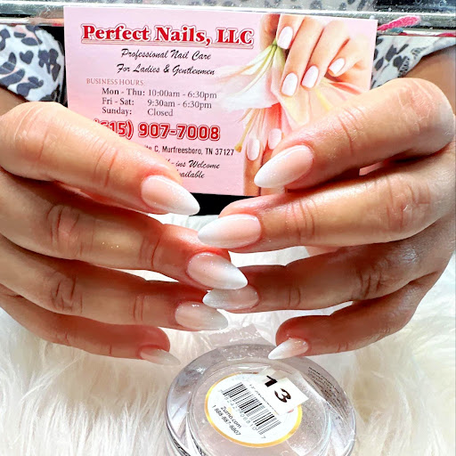 Perfect Nails logo