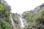 Madeira druipt van het water. Het oerebos gedijt erop. 