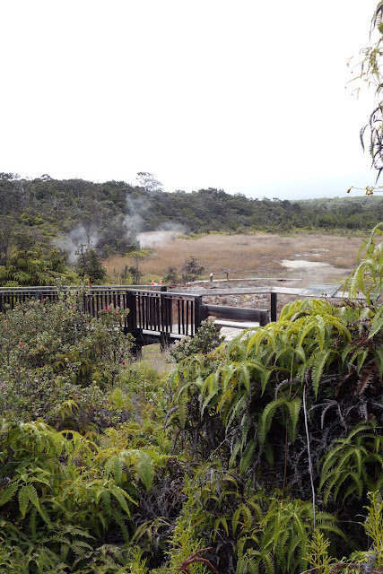  Volcanoes National Park