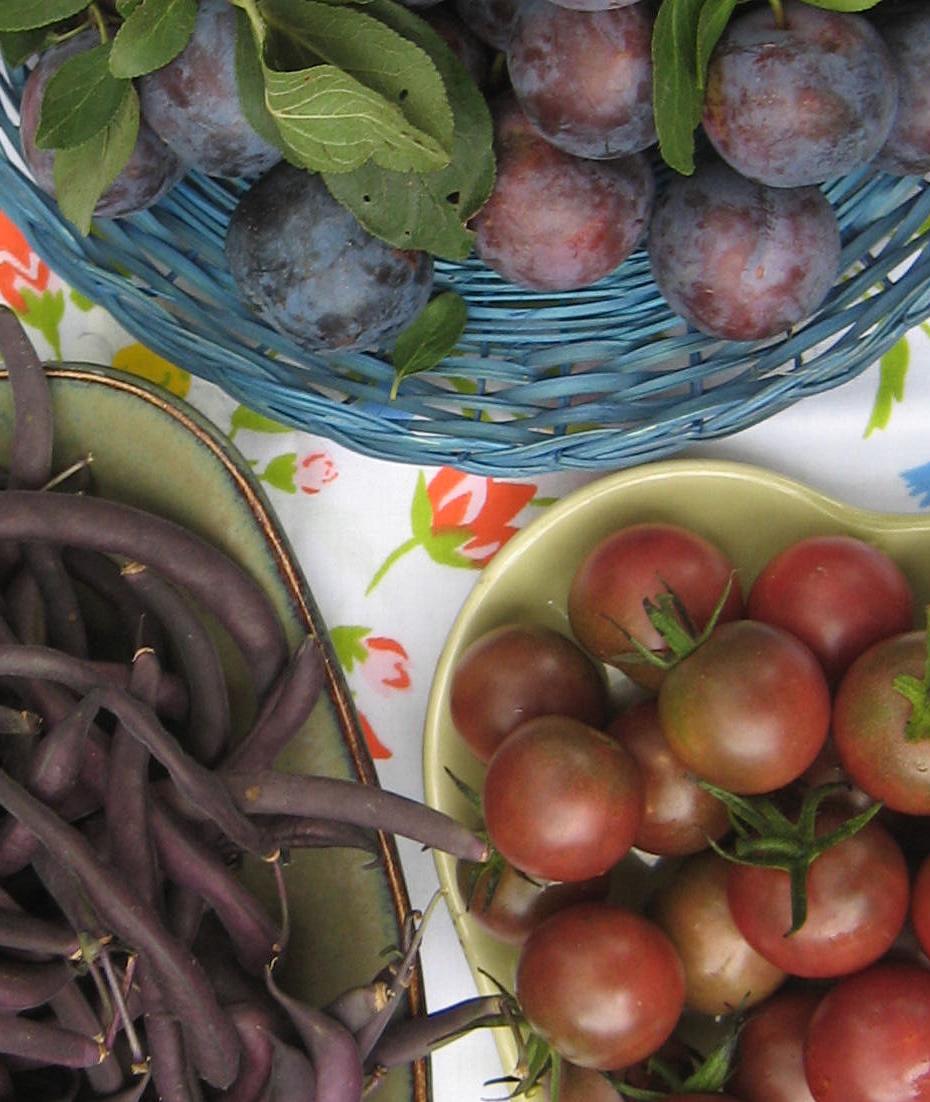 Blue Damson Plums, Brown Berry