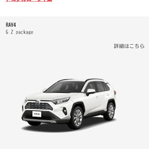 RAV4 MXAA54