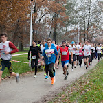 2014.11.09 Biegi Niepodległości - Ostrowiec Świętokrzyski