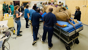 Vets performing the CT scan on Oz the rhino.