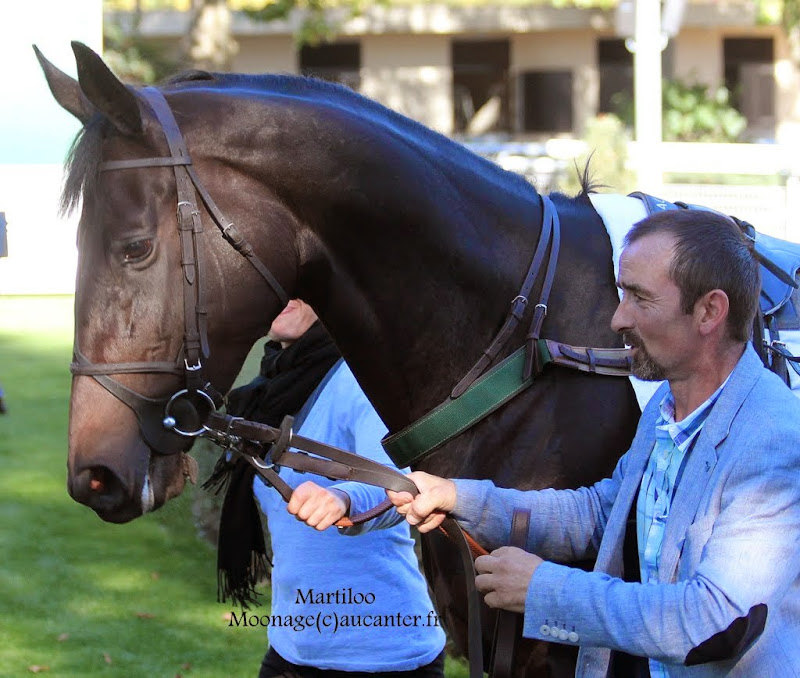 Photos Auteuil 18-10-2014 IMG_4668