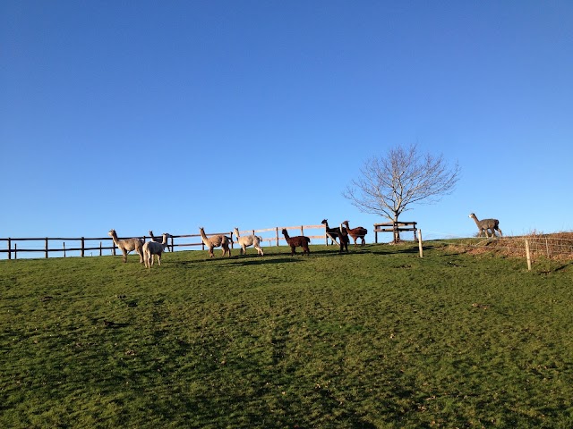 Longthorns Farm ltd