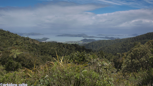 PRIMEROS DÍAS DE RUTA. PAIHIA Y COROMANDEL - NUEVA ZELANDA EN AUTOCARAVANA. UN VIAJE DE ENSUEÑO (10)