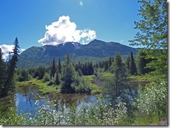 Between Soldotna and Tern Lake