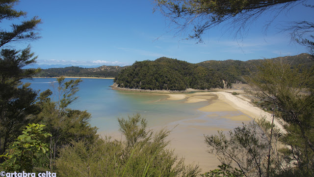 ABEL TASMAN NATIONAL PARK - NUEVA ZELANDA EN AUTOCARAVANA. UN VIAJE DE ENSUEÑO (14)