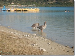 Garganta Patsos, Georgiopolis y Lago Kournia - Creta: La gran isla de Grecia (7)