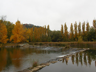 Soria y Calatañazor - Los colores del otoño por tierras del Duero: Soria y alrededores con niños (6)