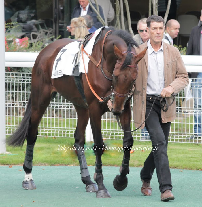 Photos Auteuil 26-09-2015 IMG_3869