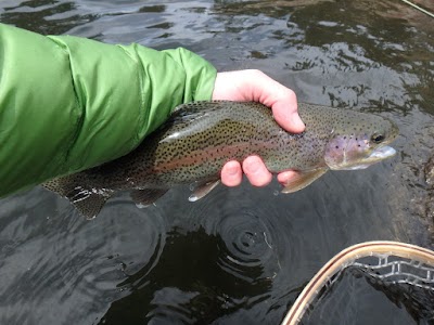 P4110031.JPG