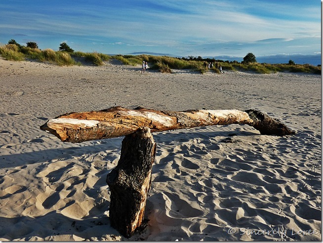 Nairn Beach 8