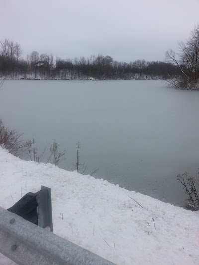 Photos of Sharon Creek Conservation Area