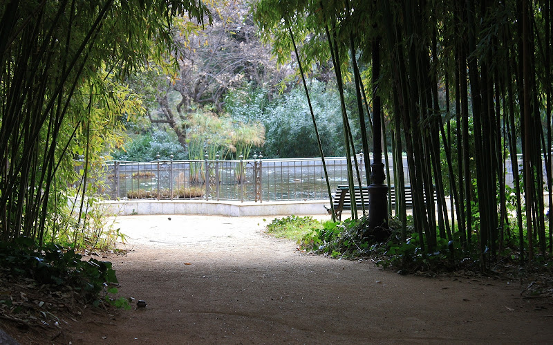 Круиз для лентяев и одиночек: Norwegian Spirit из Барселоны на Канары в январе 2013