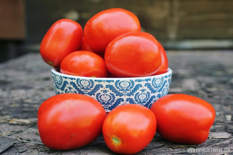 A Bowl Of Garden Fresh Roma Tomatoes