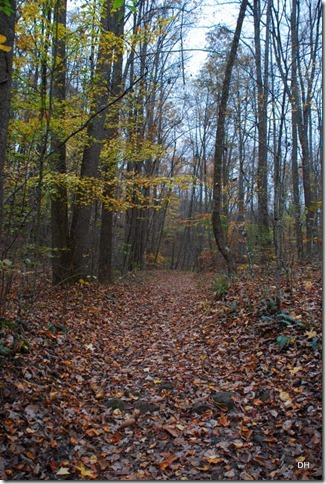 10-31-15 Cumberland Gap Saddle Hike (53)