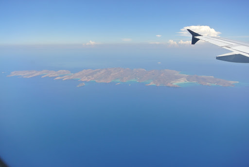 Papato Expeditions, San Juan, Paraíso del Sol, La Paz, B.C.S., México, Agencia de viajes especializada en avistamiento de ballenas | BCS