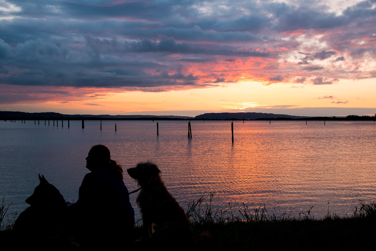 2016_05_15-waterfront-sunset-0454.jpg