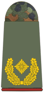 파일:external/upload.wikimedia.org/311-Brigadegeneral.png