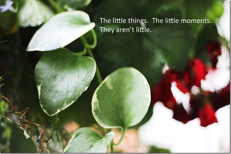 little things