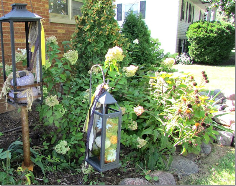 Showcasing the colors of a Fall Garden