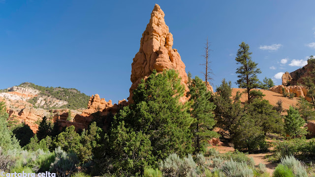 RED CANYON, DIXIE NATIONAL FOREST Y CEDAR BREAKS - OESTE DE EEUU 2015. UN MES POR LOS PARQUES NATURALES DE 6 ESTADOS (TERMINADO!!) (5)